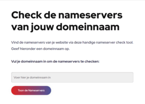NS Lookup met de Nameserver Check Tool